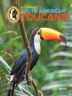 cover image of All About South American Toucans